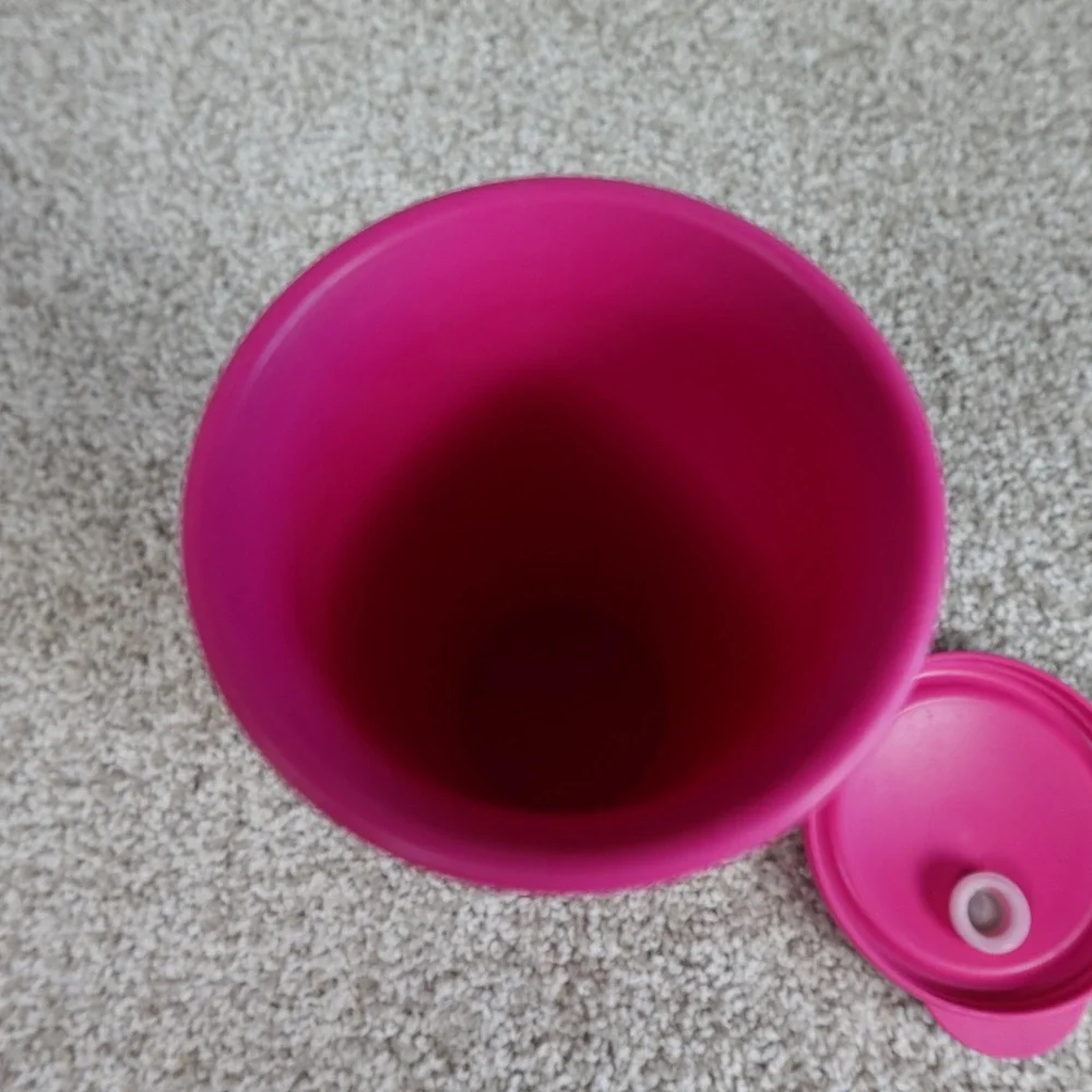 Tupperware Pink Double Wall 24oz Tumbler with Straw Seal Lid 3329A-1